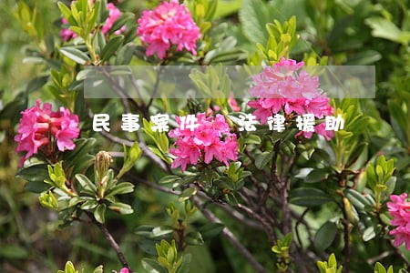 民事案件 法律援助 民事案件 法律援助